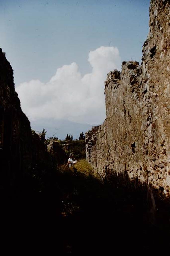 Vicolo del Fauno between VI.9 and VI.11, at its northern end. 1959. Looking north. Photo by Stanley A. Jashemski.
Source: The Wilhelmina and Stanley A. Jashemski archive in the University of Maryland Library, Special Collections (See collection page) and made available under the Creative Commons Attribution-Non Commercial License v.4. See Licence and use details.
J59f0569
