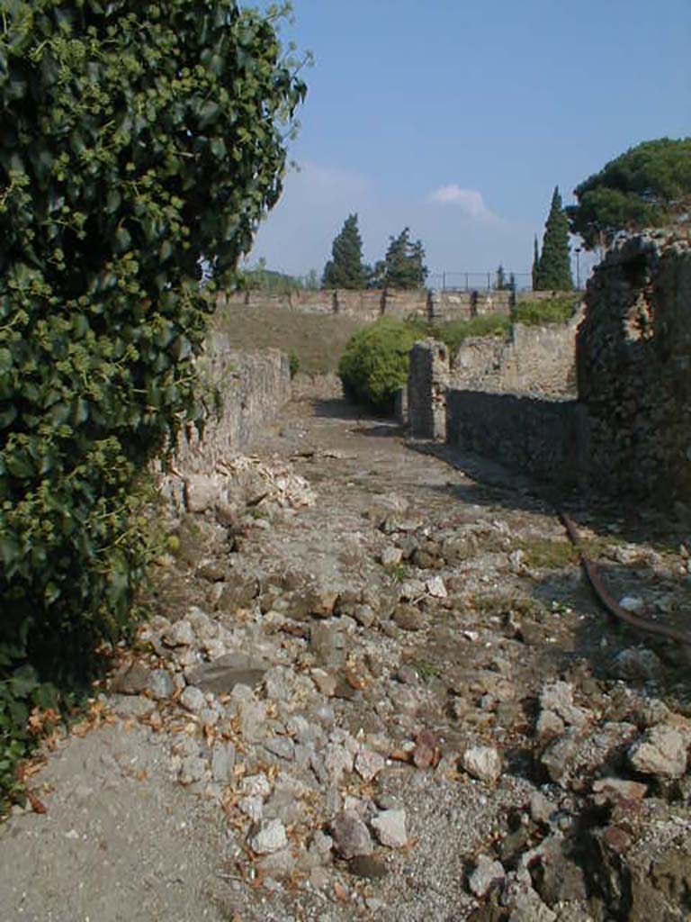 Vicolo del Fauno between VI.9 and VI.11. September 2004. Looking north from rear of VI.9.3. 