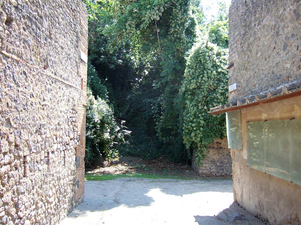 Vicolo dell�Efebo. September 2005. Looking south across junction with Via di Castricio to unexcavated vicolo between I.18 and I.19. 