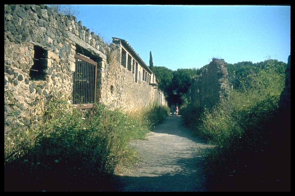 Vicolo di Giulia Felice. Looking south. 
Photographed 1970-79 by Günther Einhorn, picture courtesy of his son Ralf Einhorn.
