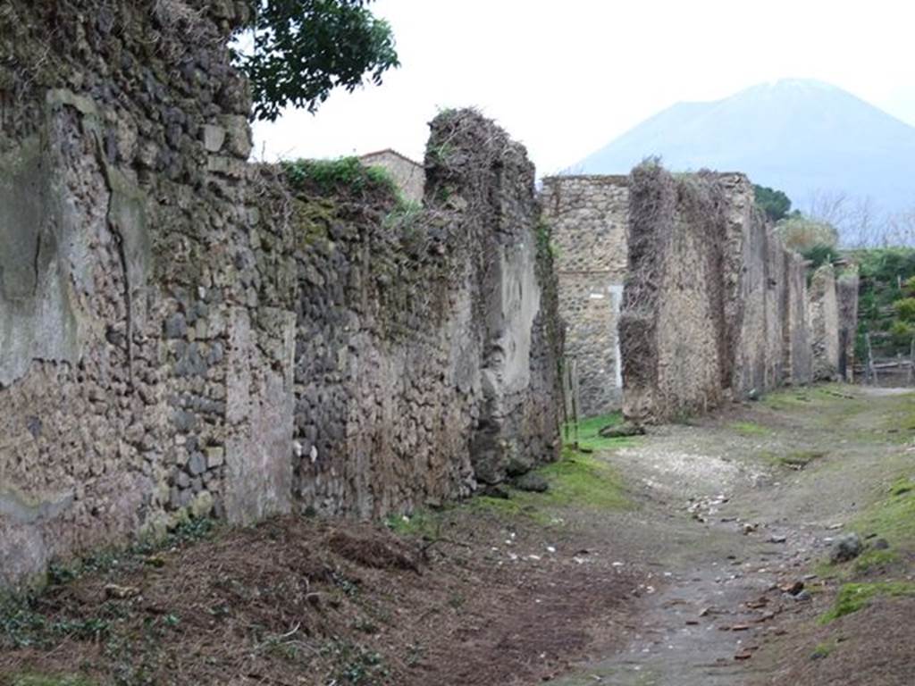 Vicolo di Giulia Felice. West side. Looking north from near II.3.6. December 2006.