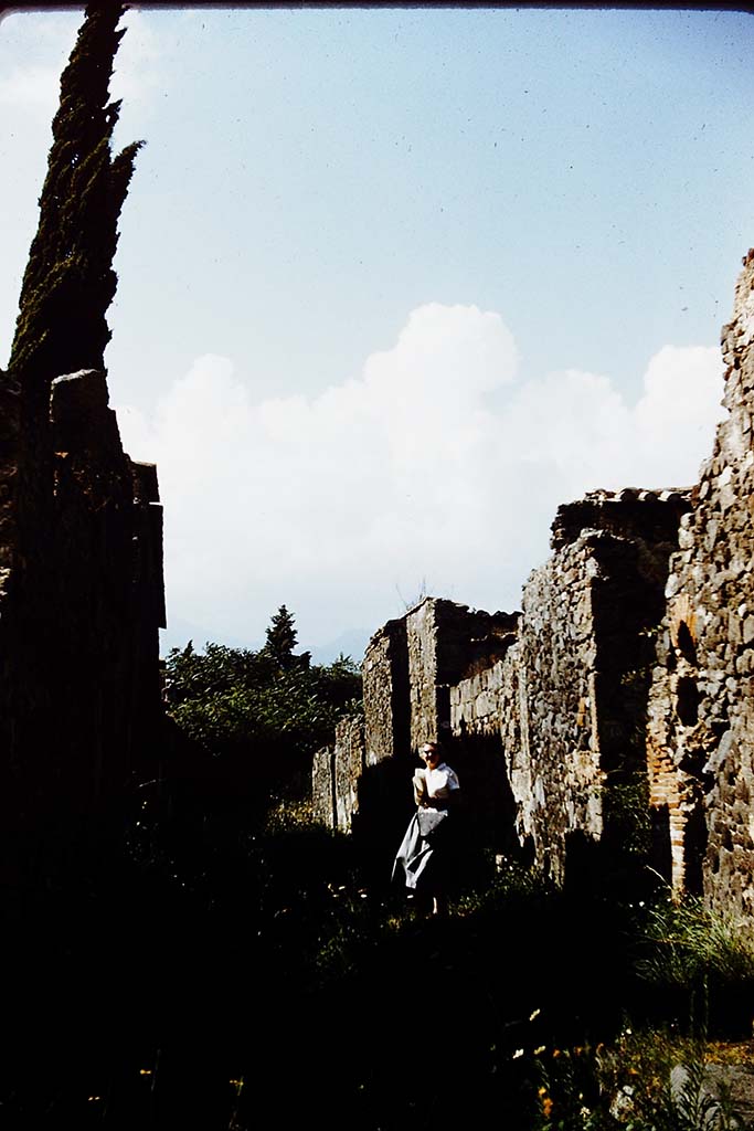 Vicolo di Modesto, Pompeii. 1959. 
Looking north along east side. Photo by Stanley A. Jashemski.
Source: The Wilhelmina and Stanley A. Jashemski archive in the University of Maryland Library, Special Collections (See collection page) and made available under the Creative Commons Attribution-Non Commercial License v.4. See Licence and use details.
J59f0577
