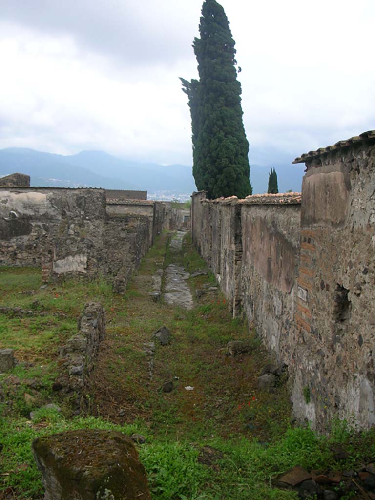Vicolo di Narciso, Pompeii, between VI.2 and VI.1. May 2010. 
Looking south from west side of Tower XII. Photo courtesy of Ivo van der Graaff.
