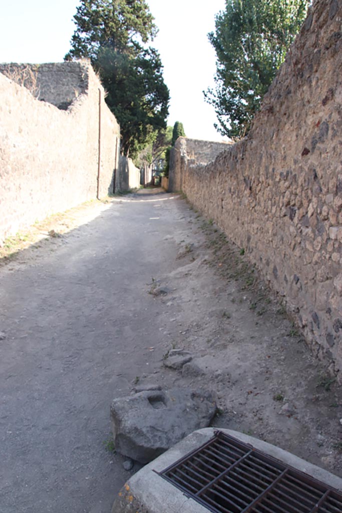 Vicolo di Octavius Quartio. October 2023. Looking south. Photo courtesy of Klaus Heese.