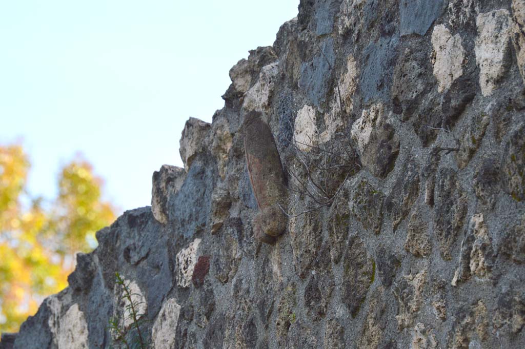 I.10.15 Pompeii. March 2019. Detail of phallus in upper west wall on Vicolo di Paquius Proculus. 
Foto Taylor Lauritsen, ERC Grant 681269 DÉCOR.
