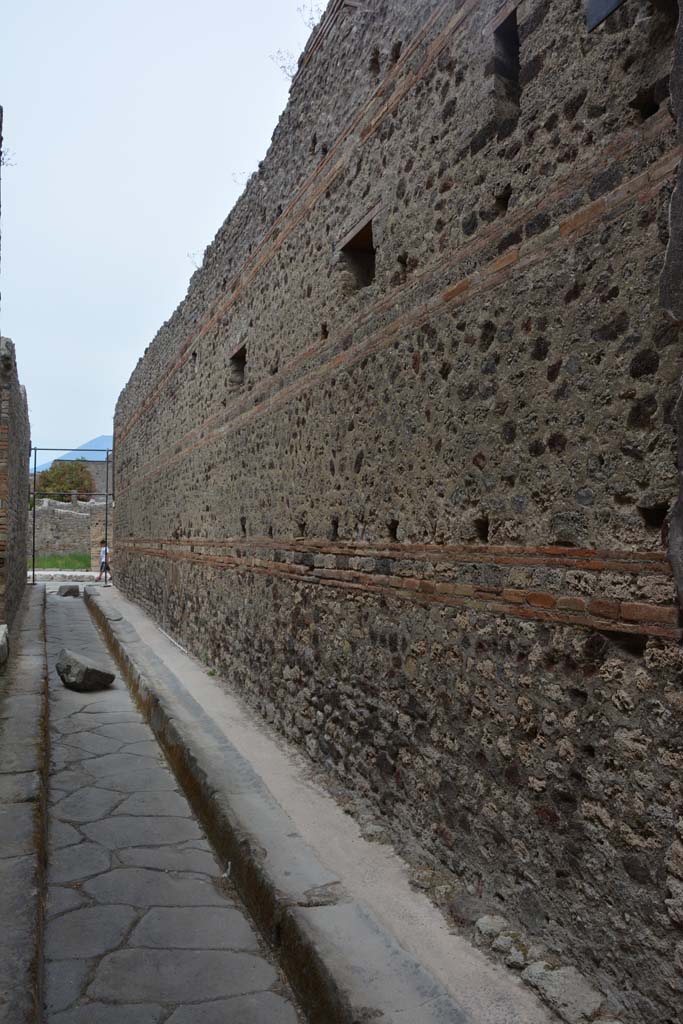 Vicolo di Tesmo, east side, Pompeii. May 2017. 
Looking north along exterior side wall of IX.5.2/22.
Foto Christian Beck, ERC Grant 681269 DÉCOR.
