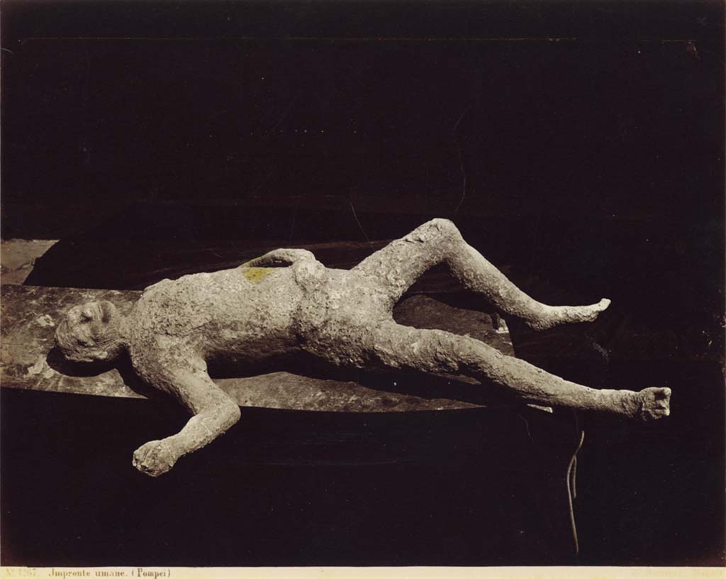 Plaster-cast of victim number 6, found on the north-east corner of Insula III of Region IX, where the unnamed roadway meets the Vicolo di Tesmo.
Photo courtesy of Eugene Dwyer.

