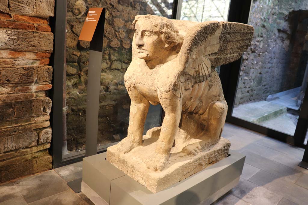 From Farm of Fondo Prisco, Boscoreale. February 2021. 
Detail of tufa Sphynx-shaped tombstone re-used as a kerbstone, on display in Pompeii Antiquarium.
Photo courtesy of Fabien Bi�vre-Perrin (CC BY-NC-SA).
