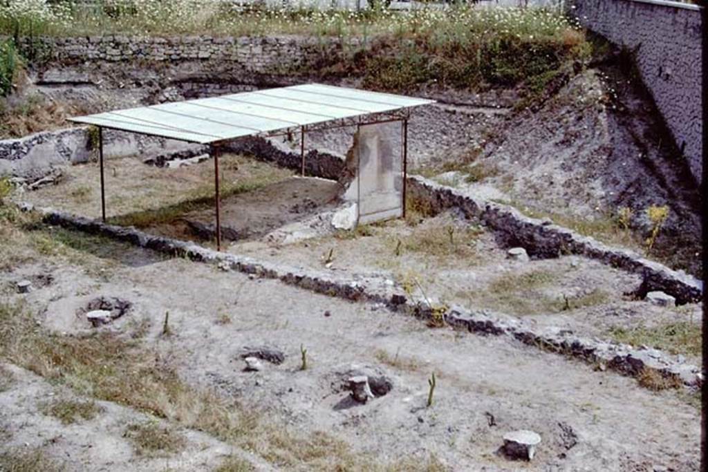 Scafati, 1968.  Photo by Stanley A. Jashemski.
Source: The Wilhelmina and Stanley A. Jashemski archive in the University of Maryland Library, Special Collections (See collection page) and made available under the Creative Commons Attribution-Non Commercial License v.4. See Licence and use details.
J68f1085
The casts of the two large trees and the rear wall are in the upper centre left.
The casts of the four trees in front of the tomb are centre right.
According to Jashemski, 
“The six root cavities in the tomb enclosure were of varying sizes, but all were tree roots. 
It is difficult to identify the six large trees but because of the popularity of the cypress tree as a tomb planting, we might expect that at least some of them would be cypresses.”
See Jashemski, W. F., 1979. The Gardens of Pompeii. New York: Caratzas. (p.148)
