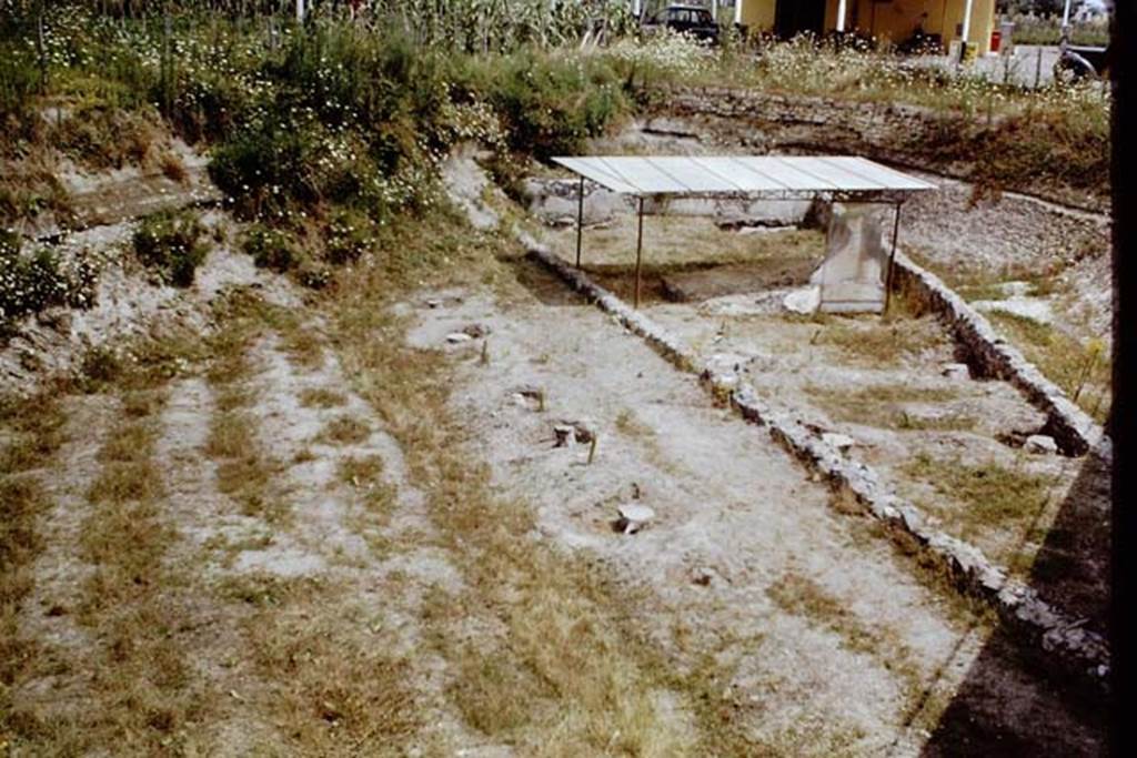 Scafati, 1968.  Photo by Stanley A. Jashemski.
Source: The Wilhelmina and Stanley A. Jashemski archive in the University of Maryland Library, Special Collections (See collection page) and made available under the Creative Commons Attribution-Non Commercial License v.4. See Licence and use details.
J68f1215
On the left are the furrows behind the row of trees on the other side of the roadway from the tomb-garden.
According to Jashemski -
“The ancient furrows were probably a part of a planted area along the roadway and had no connection with the walled tomb-garden.”
See Jashemski, W. F., 1993. The Gardens of Pompeii, Volume II: Appendices. New York: Caratzas. (p. 256)
