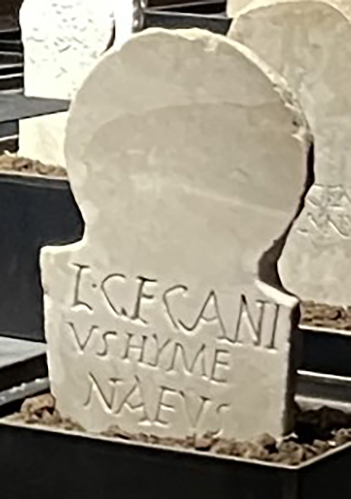 Pompeii Fondo Azzolini. Roman Tomb 38: cippus of L. Greganius Hymenaeus.
On display in exhibition “L’altra Pompei, vite comuni all’ombra del Vesuvio”.
Photo courtesy of Giuseppe Ciaramella.
Single burial. Burial of a freeborn person.
Columella with inscription.

L GEGANI
VS HYME
NAEUS

Greganius
Hymenaeus

See Notizie degli Scavi di Antichità, 1916, 303, t38.
