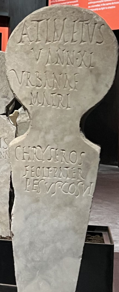 Pompeii Fondo Azzolini. Roman Tomb 81: Aulus Timetus.
On display in exhibition “L’altra Pompei, vite comuni all’ombra del Vesuvio”.
Photo courtesy of Giuseppe Ciaramella.

Single burial. Burial of a freeborn person.
Columella with inscription

ATIMETUS
V ANN XI
URBANAE
MATRI
CHRYSEROS
FECIT PATER
PESUS COSUI (?)

A(ulus) Timetus
v(ixit) ann(is) XI
urbanae
matri
chryseros
fecit pater
pesus cosui

See Notizie degli Scavi di Antichità, 1916, 303, t81.
