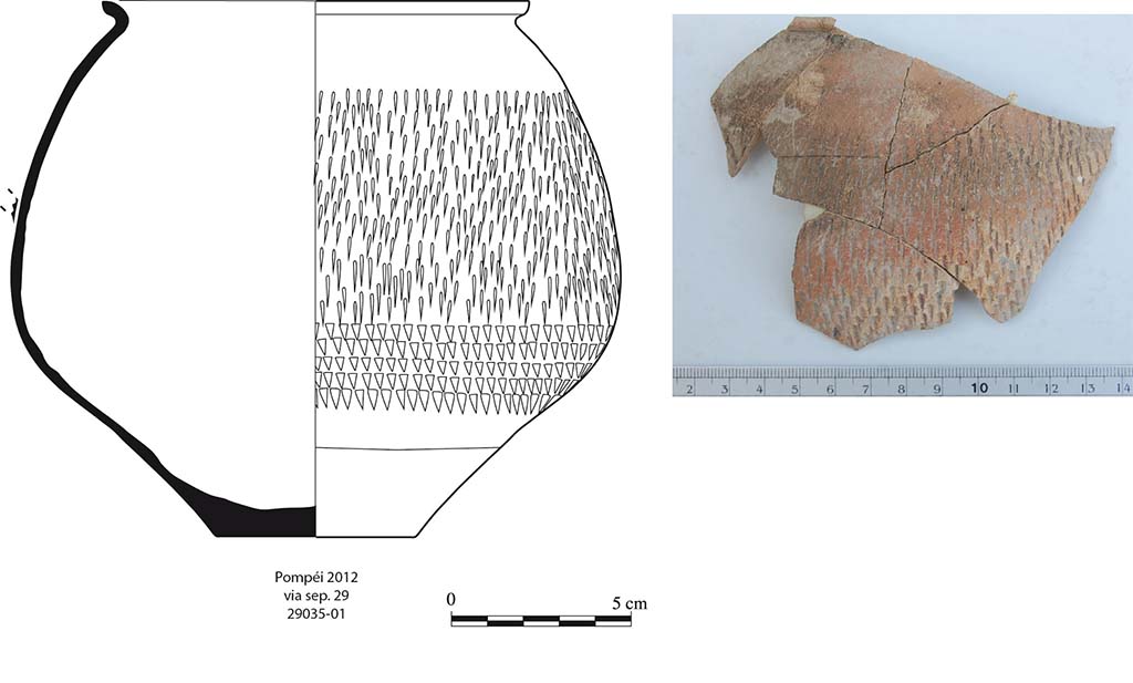 Fig. 7 - Pompéi. Gobelet à paroi fine mis au jour dans le niveau de lapillli de la pièce 1.
A. Lacombe, G. Stelo.