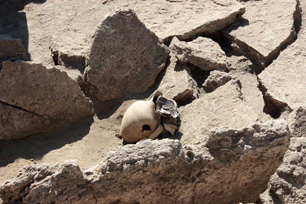HG31A Pompeii. Tomb of a Samnite Woman. 2015. Artefacts at the foot of the tomb.
In the south corner a common ceramic table amphora was unearthed, on which rested a ceramic cup in vernice nera. 
Finally, between the feet of the deceased, two vases were discovered: an askos with red figures and a cup in vernice nera. 
(See CEFR 1581 and below) Para 44.

Objets au pied de la tombe.
Dans l�angle sud, une amphore de table en c�ramique commune a �t� mise au jour, sur laquelle reposait une coupe en c�ramique � vernis noir. 
Enfin, entre les pieds du d�funt, ont �t� d�couverts deux vases : un askos � figures rouges et une coupelle � vernis noir. 
(Voir CEFR 1581 et ci-dessous) Para. 44.

Photograph � Parco Archeologico di Pompei.
