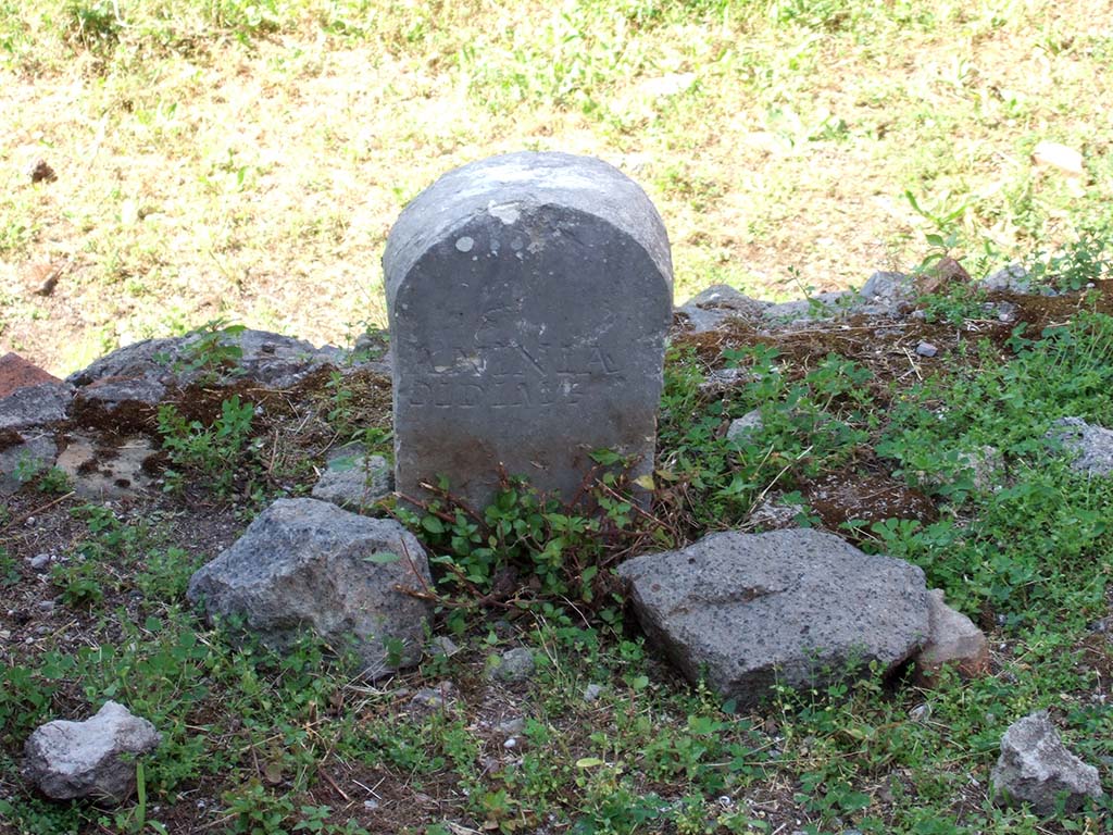 Pompeii Porta Nocera. May 2006. Tomb 8EN, columella with inscription: 
ANINIA 
DIDIME.
According to the Giornale di Scavo dated 5th July 1954 a second columella in travertine was found.
This columella (now lost) had the Latin inscription 
ANINIA
[C]NAEI  L(iberti)  L(iberta)  TERTI(A?).
See D’Ambrosio, A. and De Caro, S., 1983. Un Impegno per Pompei: Fotopiano e documentazione della Necropoli di Porta Nocera. Milano: Touring Club Italiano. (8EN).
