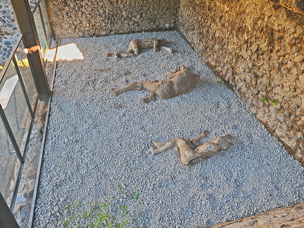 North-west side of Via delle Tombe. October 2024. 
Looking towards three victims, not in their original position, but moved from their place of discovery and arranged side by side on a modern surface level. Photo courtesy of Giuseppe Ciaramella.

