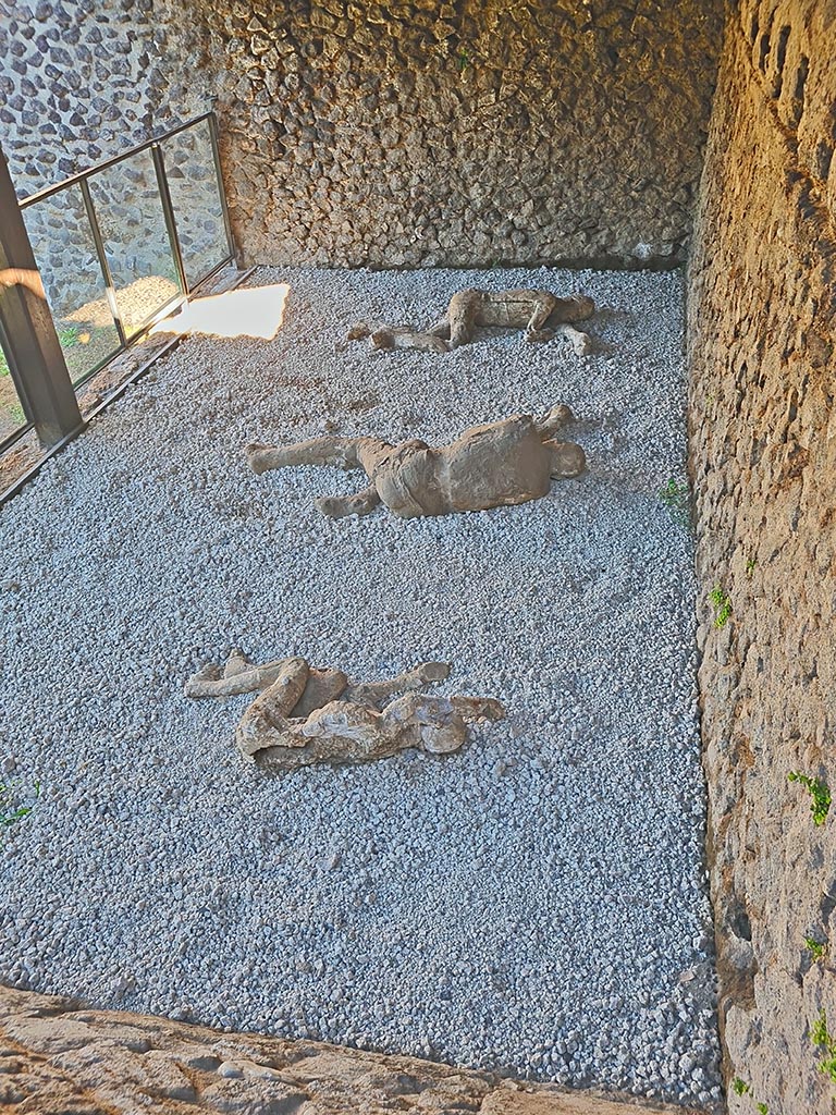 North-west side of Via delle Tombe. October 2024. 
Looking down onto three victims. Photo courtesy of Giuseppe Ciaramella.

