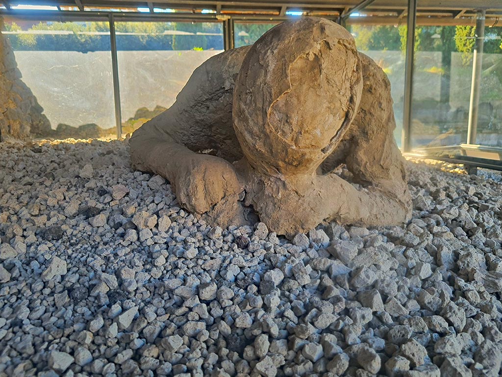 North-west side of Via delle Tombe. October 2024. Detail from plaster cast. Photo courtesy of Giuseppe Ciaramella.