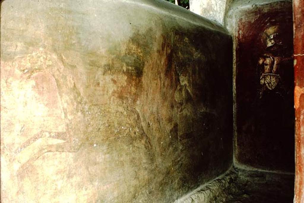 VGJ Pompeii. 1964. Inner side of south wall of tomb with animal painting of a panther chasing a horse. Photo by Stanley A. Jashemski.
Source: The Wilhelmina and Stanley A. Jashemski archive in the University of Maryland Library, Special Collections (See collection page) and made available under the Creative Commons Attribution-Non Commercial License v.4. See Licence and use details.
J64f1620