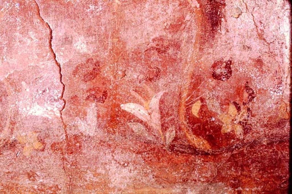 VGJ Pompeii. 1974. Detail of flower and table leg from lower part of painting of funeral repast. Photo by Stanley A. Jashemski.
Source: The Wilhelmina and Stanley A. Jashemski archive in the University of Maryland Library, Special Collections (See collection page) and made available under the Creative Commons Attribution-Non Commercial License v.4. See Licence and use details. J74f0136