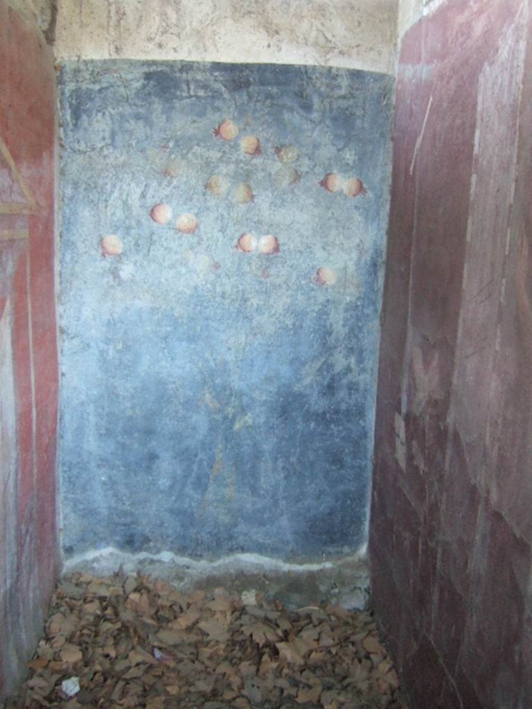 VGJ Pompeii. May 2006. West end of inner side of north wall with painting of pomegranate tree laden with ripe fruits. See Jashemski, W. F., 1993. The Gardens of Pompeii, Volume II: Appendices. New York: Caratzas. (103, p. 369)