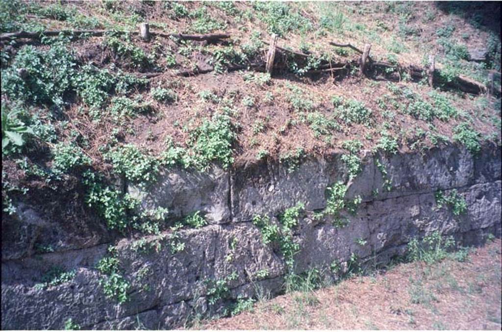 Tombs PSPN Pompeii. July 2011. Walls containing carved inscription to Aulius Fistium near Tower VII. Photo courtesy of Rick Bauer.
