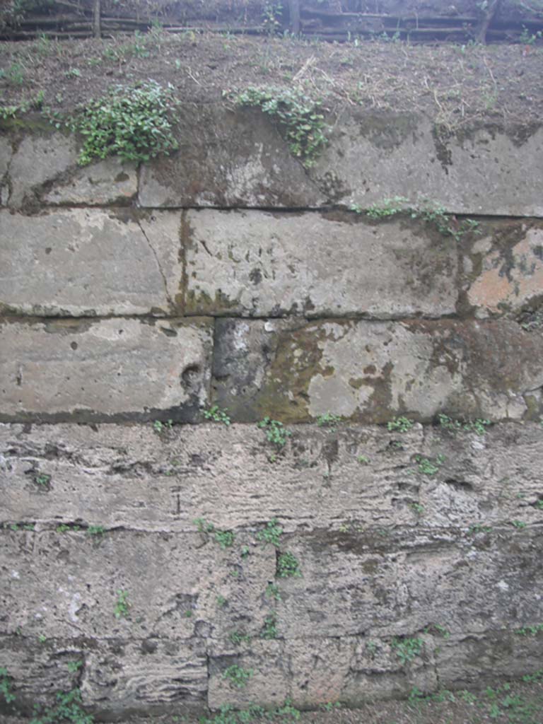 Tombs PSPN Pompeii. May 2011. Wall with inscription to Alleia Calaes alleia Numphe. Photo courtesy of Ivo van der Graaff.