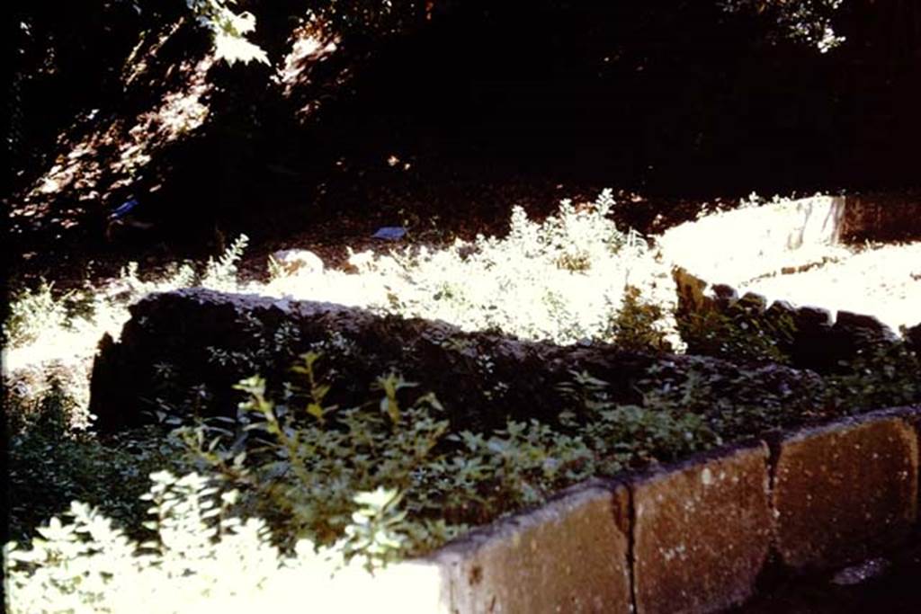 SGD Pompeii. 1961. Looking towards SGH and SGG, rear enclosures of both schola tombs. 
Photo by Stanley A. Jashemski.
Source: The Wilhelmina and Stanley A. Jashemski archive in the University of Maryland Library, Special Collections (See collection page) and made available under the Creative Commons Attribution-Non Commercial License v.4. See Licence and use details.
J61f0751
