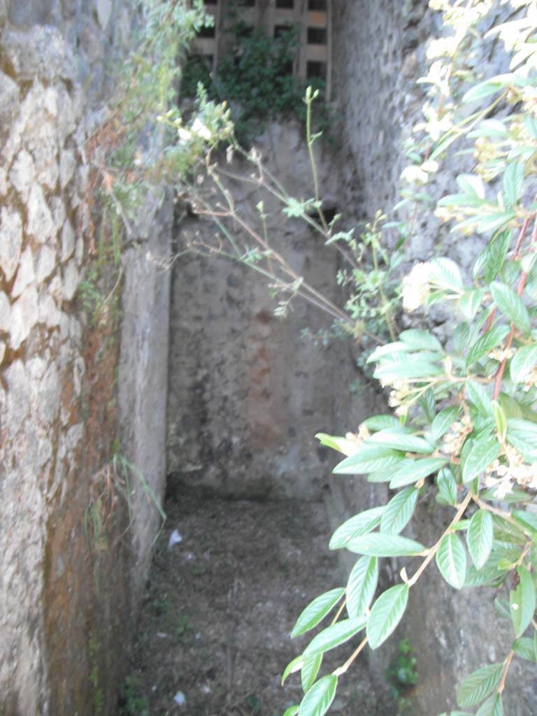 Tower II, Pompeii. May 2011. Looking north across flooring. Photo courtesy of Ivo van der Graaff.