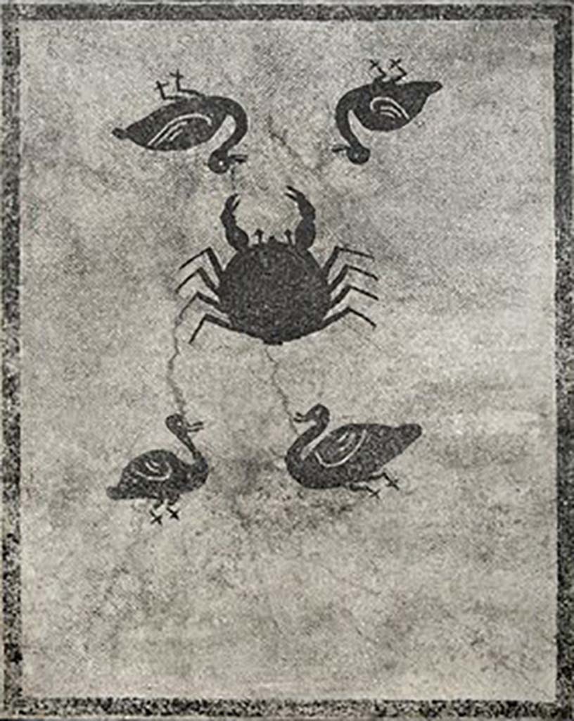 Boscoreale, Villa della Pisanella. Apodyterium M. Black and white mosaic floor with four ducks and a crab.