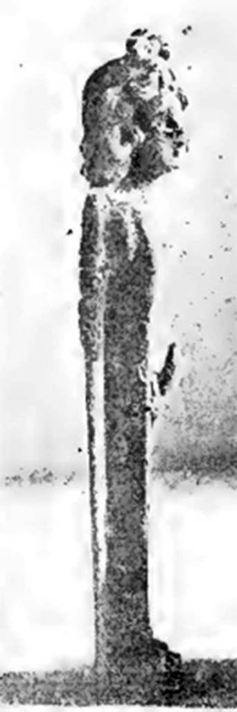 Villa of T. Siminius Stephanus, fondo Barbatelli. November 1899. Side view of small pilaster with ithyphallic herm. See Notizie degli Scavi di Antichit�, 1899, p. 440, fig. 2b.