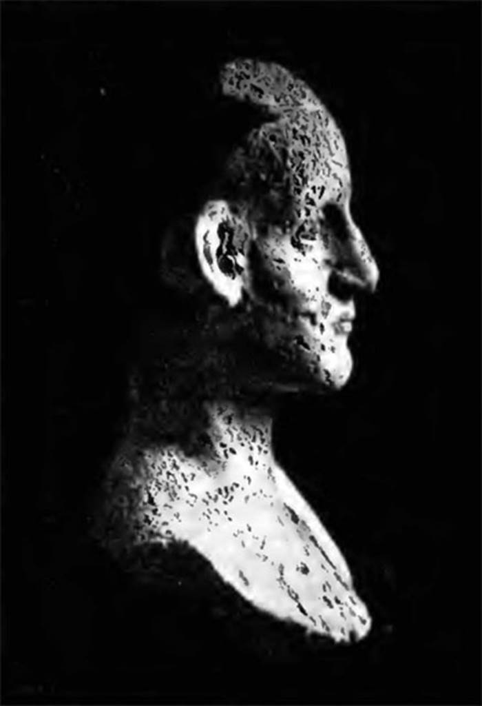 Villa of T. Siminius Stephanus, fondo Barbatelli. November 1899. Side view of stucco male head. See Notizie degli Scavi di Antichit�, 1899, p. 447, fig. 8b.