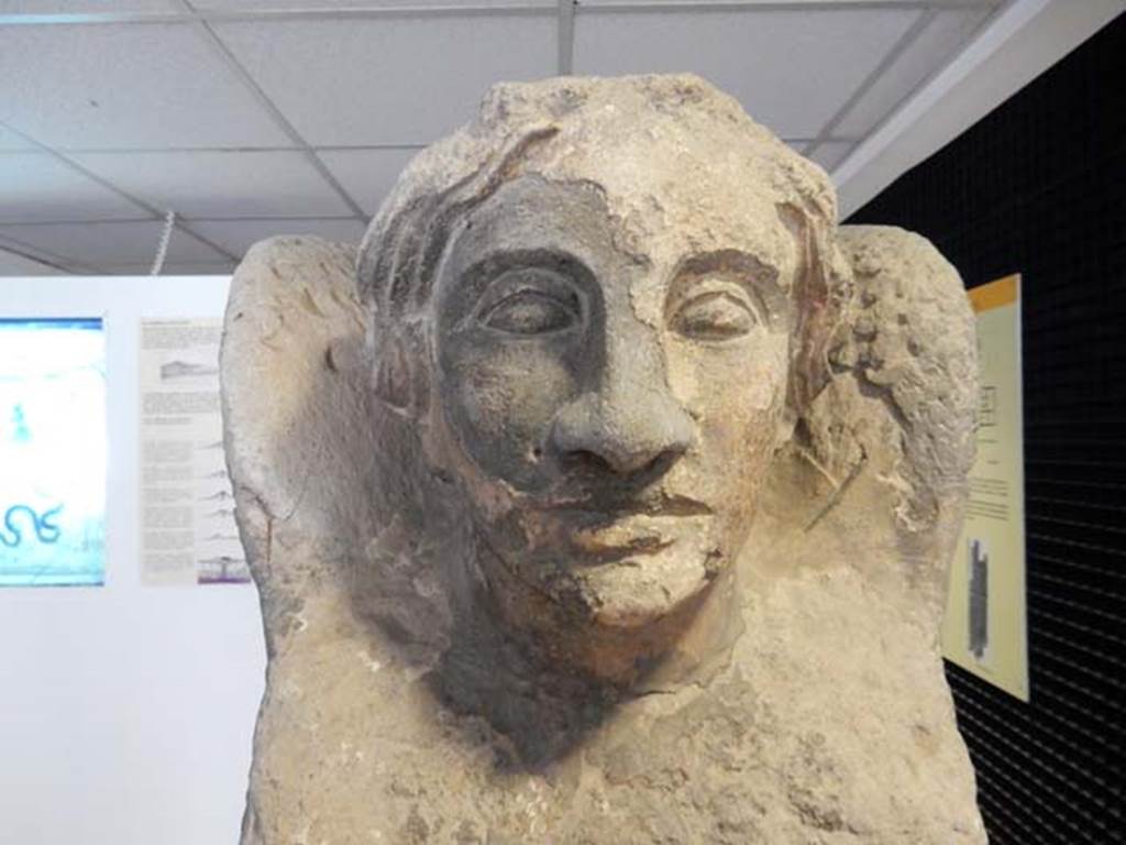 Pompeii, Villa in Fondo Antonio Prisco. 2010. Detail of the head of the grey tufa Sphynx. 
Photo taken at Boston Museum of Fine Arts. Photo courtesy of Buzz Ferebee.

