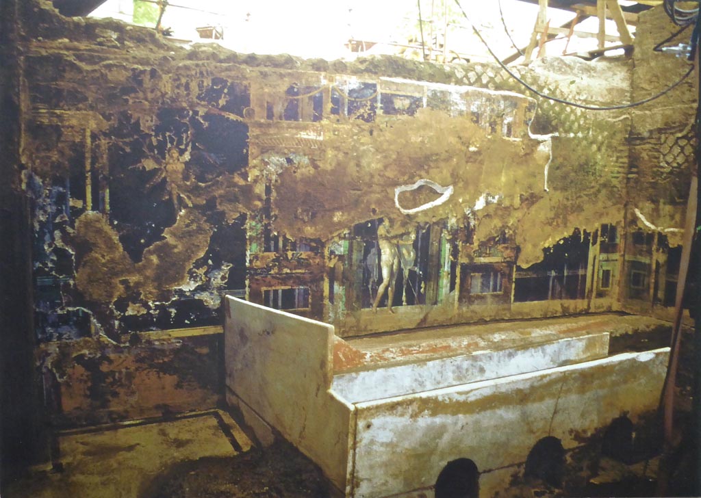 Complesso dei triclini in località Moregine a Pompei. 1959. Triclinium B, west wall with painting of one of the Dioscuri holding a horse.
Excavation photo on display in Boscoreale Antiquarium, September 2016. The side of the marble clad couch and the mosaic floor can also be seen.
Photo courtesy of Michael Binns