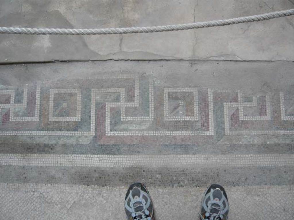 Oplontis Villa of Poppea, May 2010.
Room 5, decorative mosaic border of the flooring near the impluvium. Photo courtesy of Buzz Ferebee.