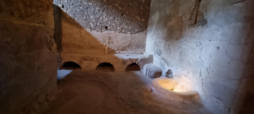Oplontis Villa of Poppea, January 2023. Room 7, looking north across kitchen. Photo courtesy of Miriam Colomer.