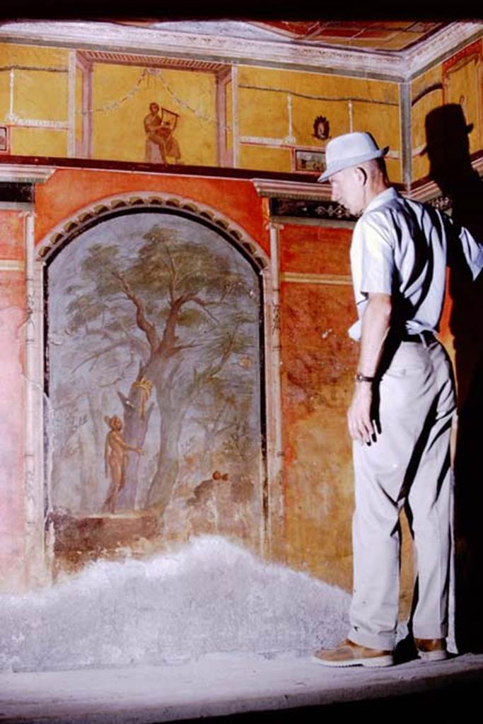 Oplontis, 1973. Wall decorations in the Caldarium 8, (10). Photo by Stanley A. Jashemski. 
Source: The Wilhelmina and Stanley A. Jashemski archive in the University of Maryland Library, Special Collections (See collection page) and made available under the Creative Commons Attribution-Non Commercial License v.4. See Licence and use details. J73f0375
