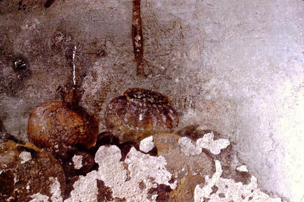 Oplontis Villa of Poppea, 1975. Room 14, triclinium, detail from upper side panel. Photo by Stanley A. Jashemski.   
Source: The Wilhelmina and Stanley A. Jashemski archive in the University of Maryland Library, Special Collections (See collection page) and made available under the Creative Commons Attribution-Non Commercial License v.4. See Licence and use details. J75f0258
