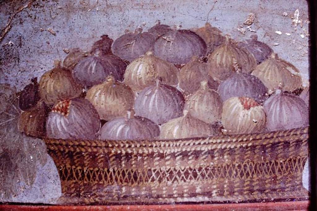 Oplontis Villa of Poppea, 1976. Room 14, triclinium. Detail of painted figs in a basket from upper side panel on right of wall.  Photo by Stanley A. Jashemski.   
Source: The Wilhelmina and Stanley A. Jashemski archive in the University of Maryland Library, Special Collections (See collection page) and made available under the Creative Commons Attribution-Non Commercial License v.4. See Licence and use details. J76f0419
