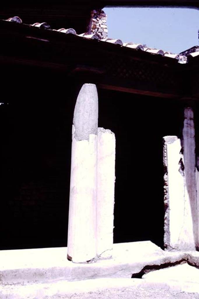 Oplontis, 1977. Area 19, north-east corner leading onto room 13, the portico. 
Photo by Stanley A. Jashemski. 
Source: The Wilhelmina and Stanley A. Jashemski archive in the University of Maryland Library, Special Collections (See collection page) and made available under the Creative Commons Attribution-Non Commercial License v.4. See Licence and use details.
J77f0354
