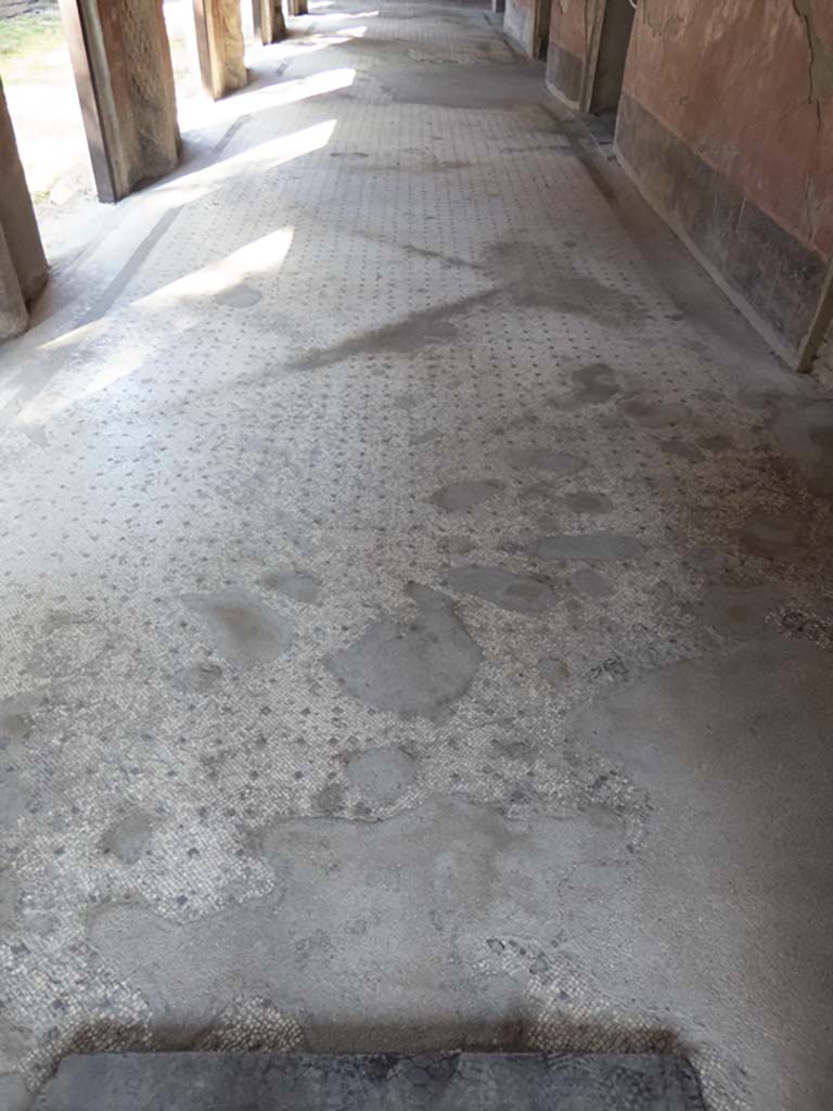 Oplontis Villa of Poppea, September 2017. Portico 24, looking west across flooring.
Foto Annette Haug, ERC Grant 681269 DÉCOR.
