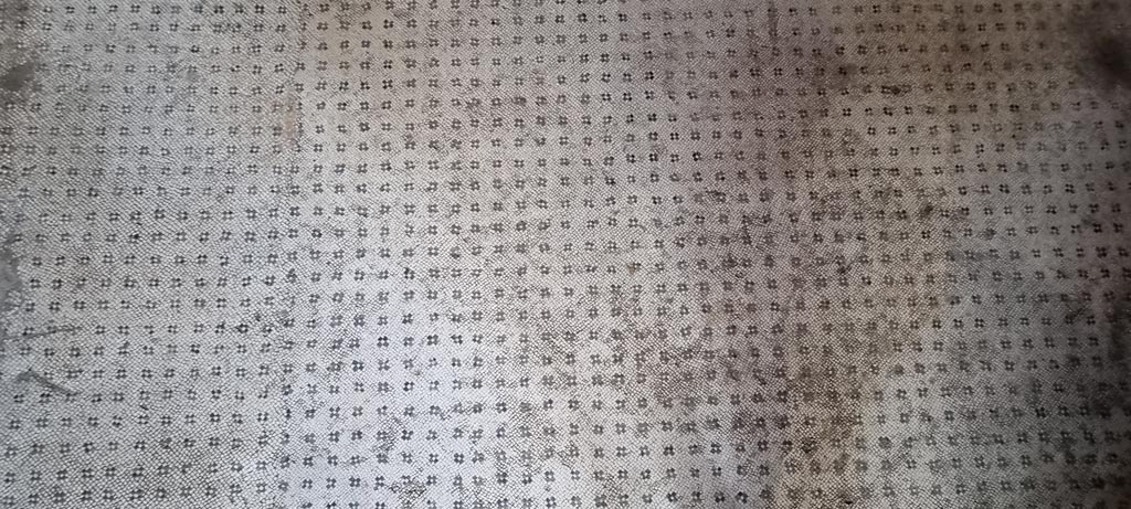 Oplontis Villa of Poppea, January 2023. Room 27, detail of flooring. Photo courtesy of Miriam Colomer.