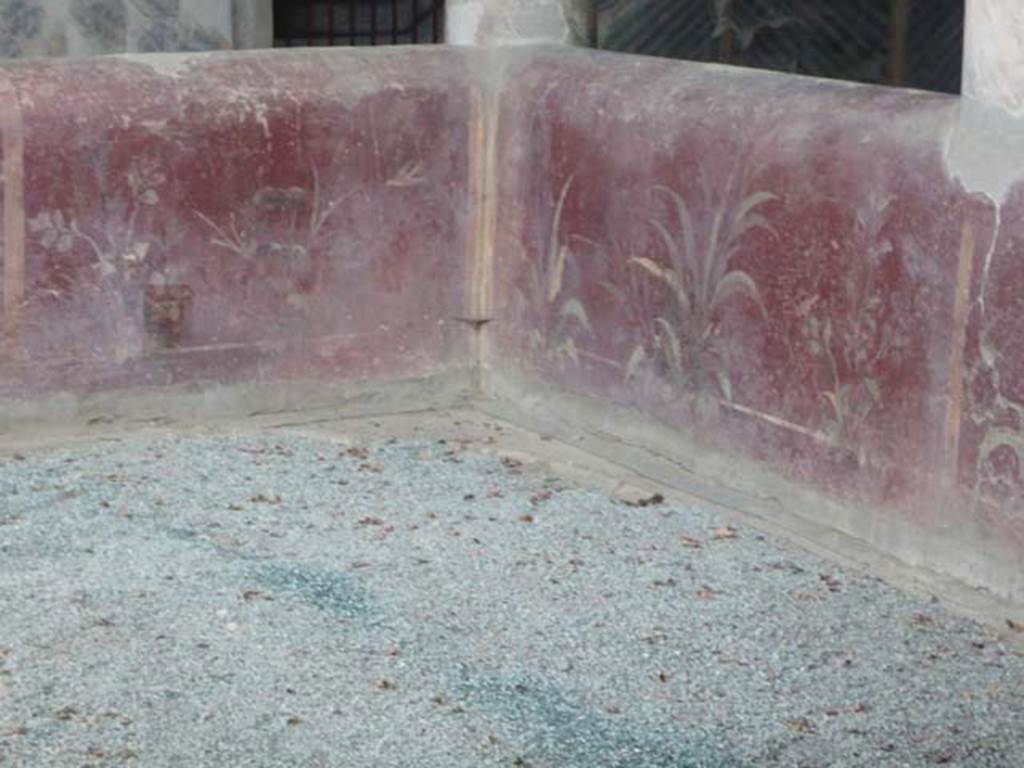 Oplontis, 1974. Room 32, painted plants on the pluteus of the rustic courtyard. Photo courtesy of Buzz Ferebee. 