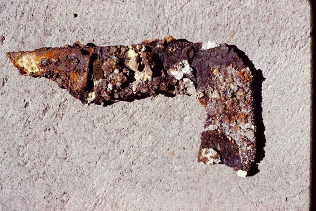 Oplontis, 1974. Pruning hook, found in rustic peristyle, room 32. Photo by Stanley A. Jashemski.   
Source: The Wilhelmina and Stanley A. Jashemski archive in the University of Maryland Library, Special Collections (See collection page) and made available under the Creative Commons Attribution-Non Commercial License v.4. See Licence and use details. J74f0196
