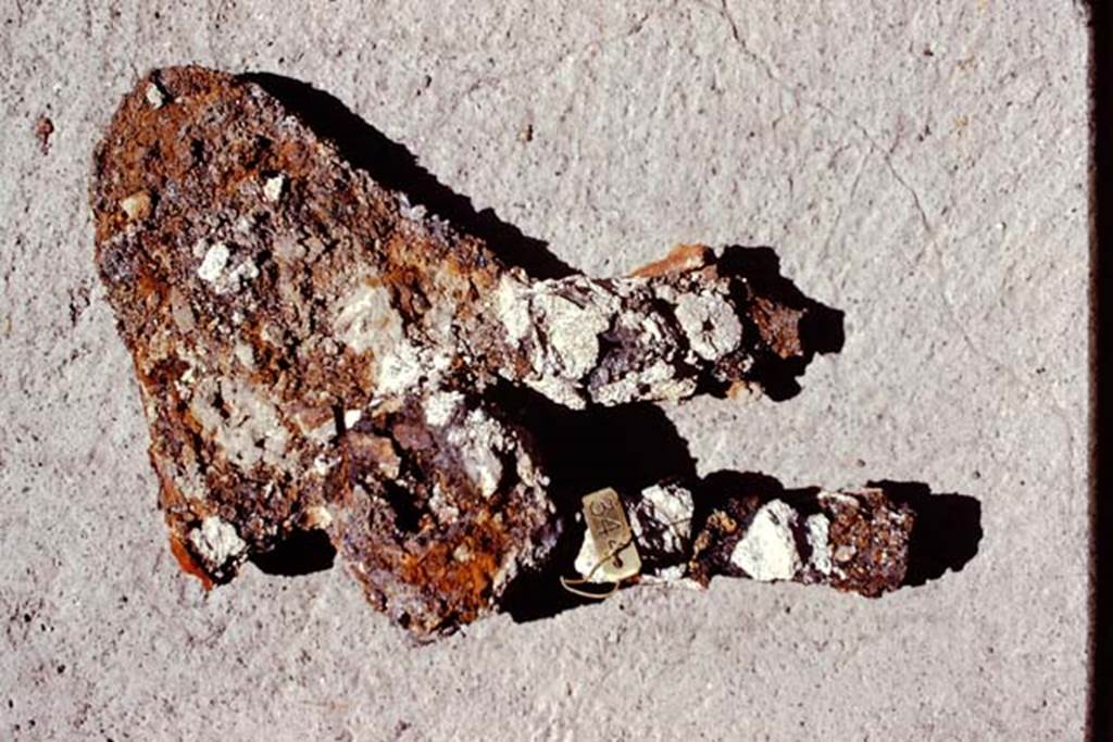 Oplontis, 1974. Hoe found in rustic peristyle, room 32. Photo by Stanley A. Jashemski.   
Source: The Wilhelmina and Stanley A. Jashemski archive in the University of Maryland Library, Special Collections (See collection page) and made available under the Creative Commons Attribution-Non Commercial License v.4. See Licence and use details. J74f0197
