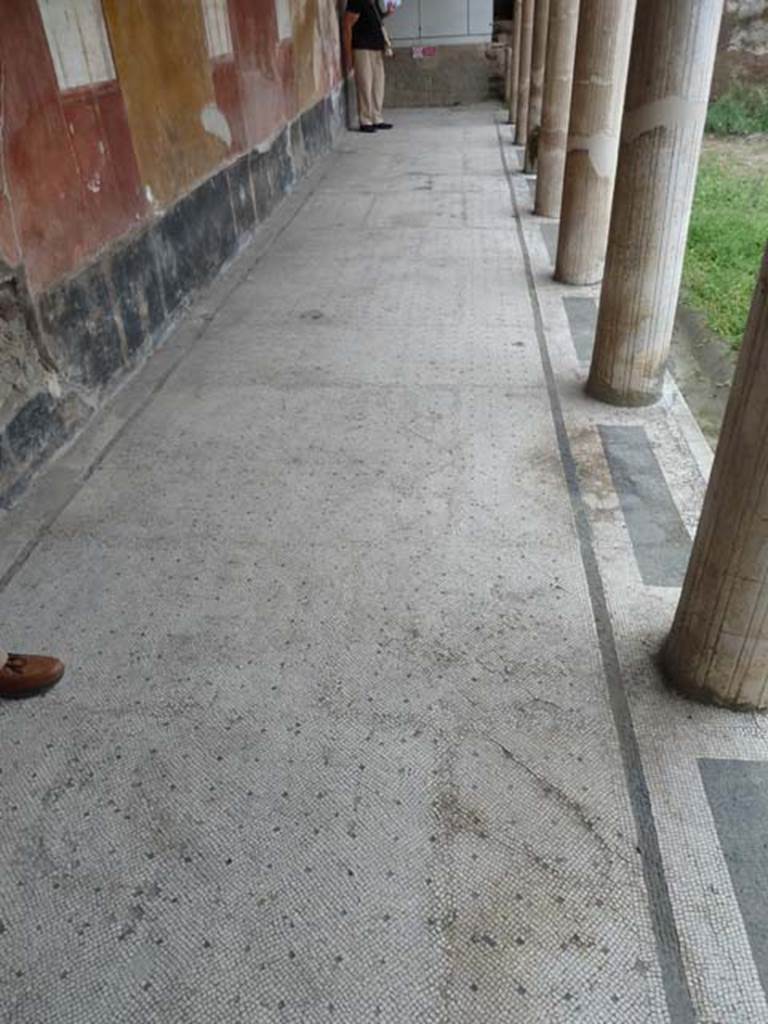 Oplontis, September 2015. Room 33, flooring of west portico.