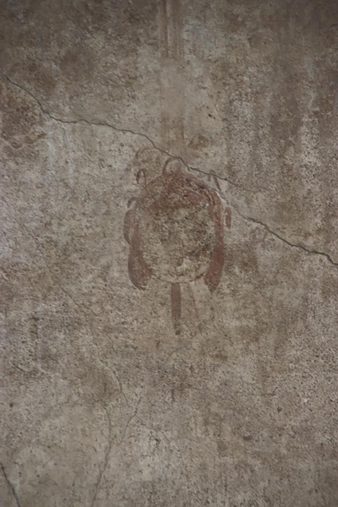 Oplontis Villa of Poppea, May 2024.
Portico 40, detail from upper north wall in north-east corner. Photo courtesy of Klaus Heese.