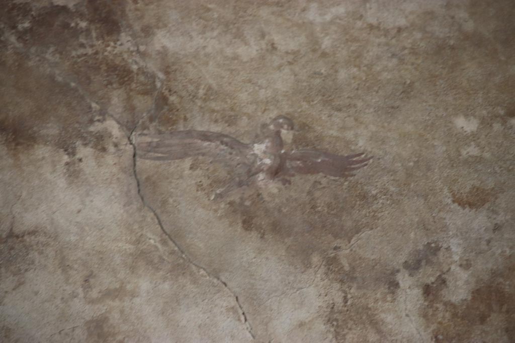 Oplontis Villa of Poppea, May 2024.
Portico 40, detail of painted bird from centre of panel on upper north wall in north-east corner. Photo courtesy of Klaus Heese.