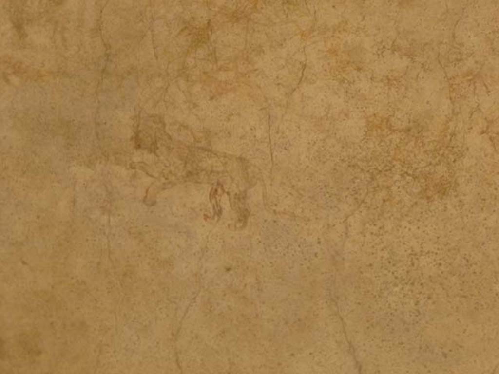 Oplontis, May 2011. Portico 40, painted wall decoration. Photo courtesy of Michael Binns.