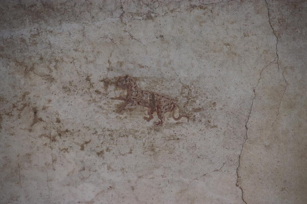 Villa of Poppaea, Oplontis, October 2023.
Portico 40, painted wall decoration of leopard from upper east wall on right side of middle decoration. Photo courtesy of Klaus Heese.